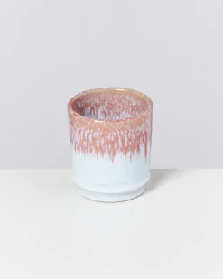 Motel a Miio Cordoama - Cup rose Flash Sale