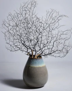 Motel a Miio Madeira - Vase grünblau Fashion